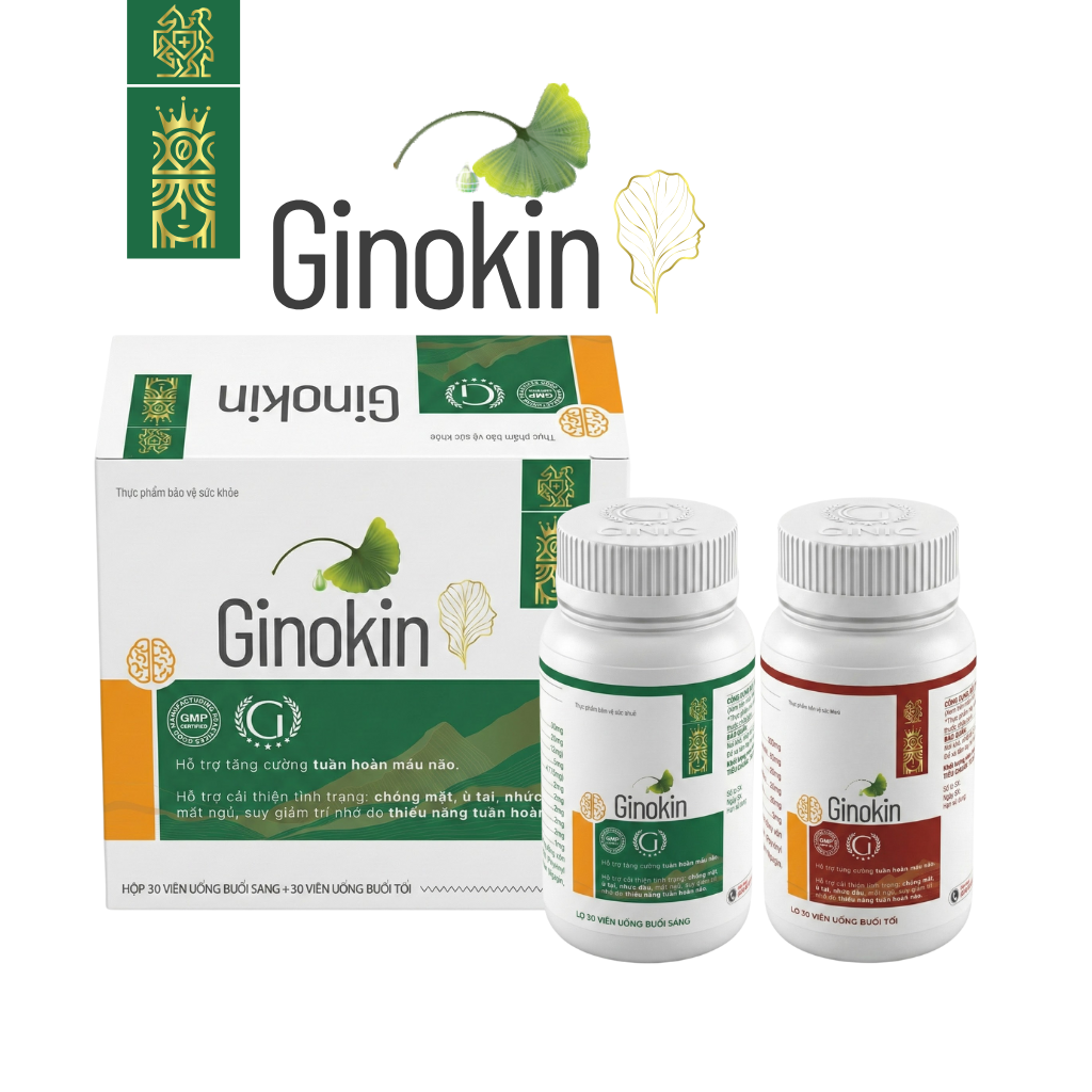 Tpbvsk GINOKIN